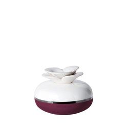 Kleur – Paars