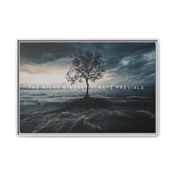 White Frame