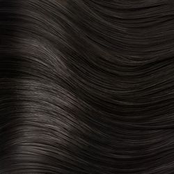 Colore – 2N - Bruno