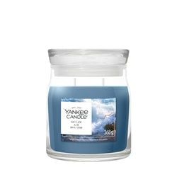 Formaat – Medium Jar