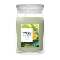 Formaat – Large Jar