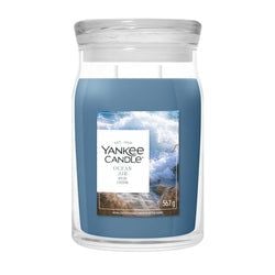 Formaat – Large Jar
