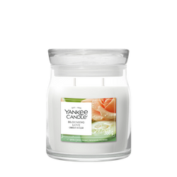 Formaat – Medium Jar