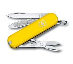 Color – Sunny Side Yellow