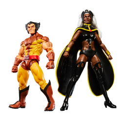 Character Set – Wolverine & Storm