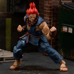 Character – Akuma