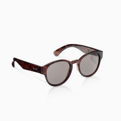 Frame Colour – Tortoiseshell