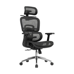 MODEL – ERGION KANCELARIJSKA ERGONOMSKA STOLICA CRNA