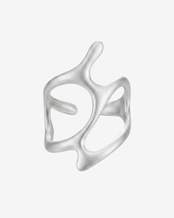 Type – Silver