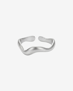 Type – Silver