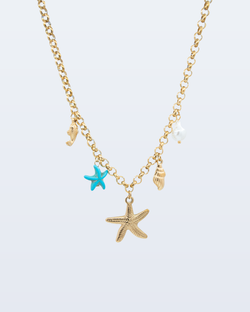 starfish