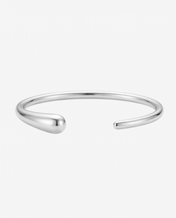 Type – silver