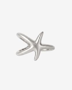 Type – silver