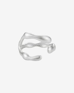 Type – Silver