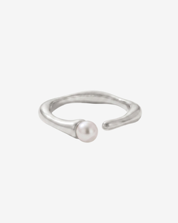 Type – silver