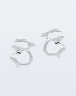 silver earrings
