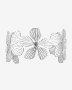 Type – silver