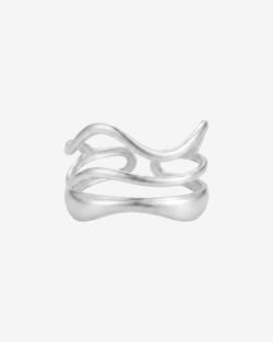 Type – Silver