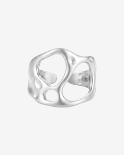 Type – silver