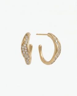 Type – Earrings