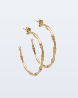 Gold earrings