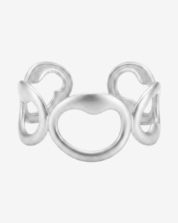 Type – silver