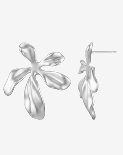 Type – silver
