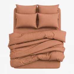 Color – Clay