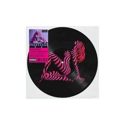 Madonna – PICTURE DISK