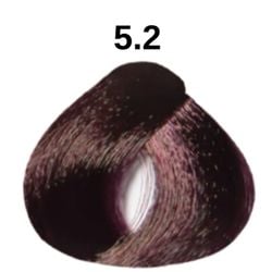 №5/2 Світлий фіолетовий каштан