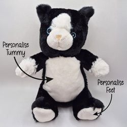 Select Teddy Bear – Cat