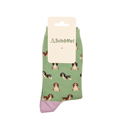 Colour – Green Spaniel