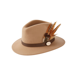 Colour – Camel