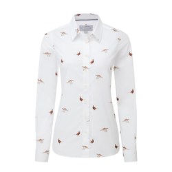 Colour – Pheasant Print