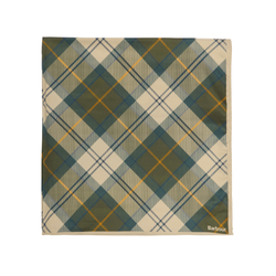 Ancient Tartan