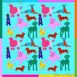 Colour – Turquoise Poochie