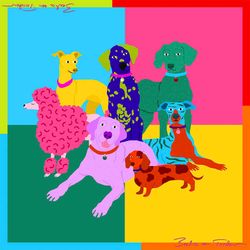 Colour – Multi Poochie