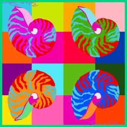 Colour – Moon Shell