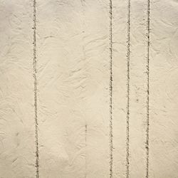 Color – Sarosh Straight