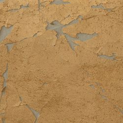 Color – Hathor