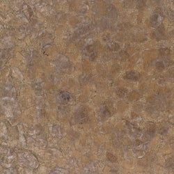 Color – Pyrite Embellished