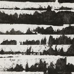 Color – Dinaric