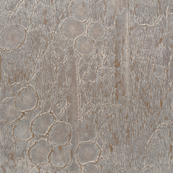 Color – Ramalina