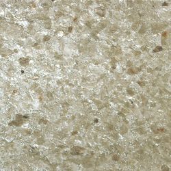 Color – Vicus Embellished