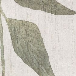 Color – Folia