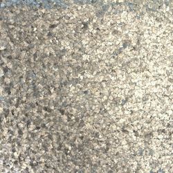 Color – Diamond Embellished