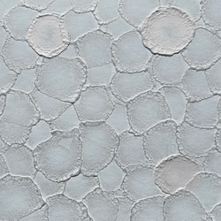 Color – Melodius
