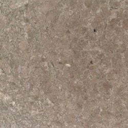 Andradite Embellished