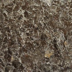 Color – Jasper Embellished
