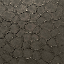 Color – Petarius